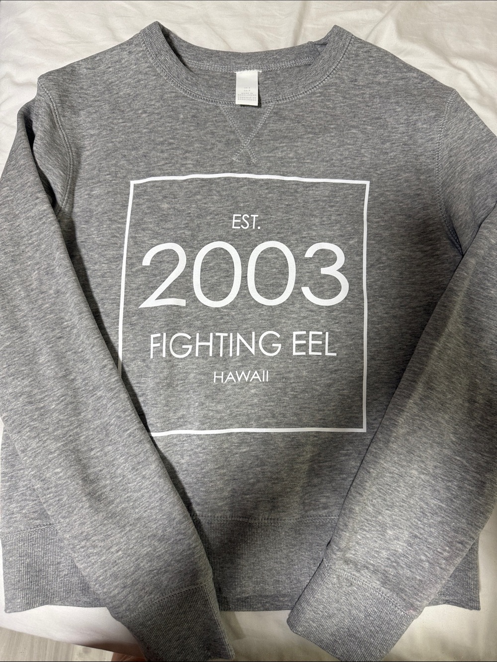 Fighting Eel Grey Crewneck with White 2003 Graphic